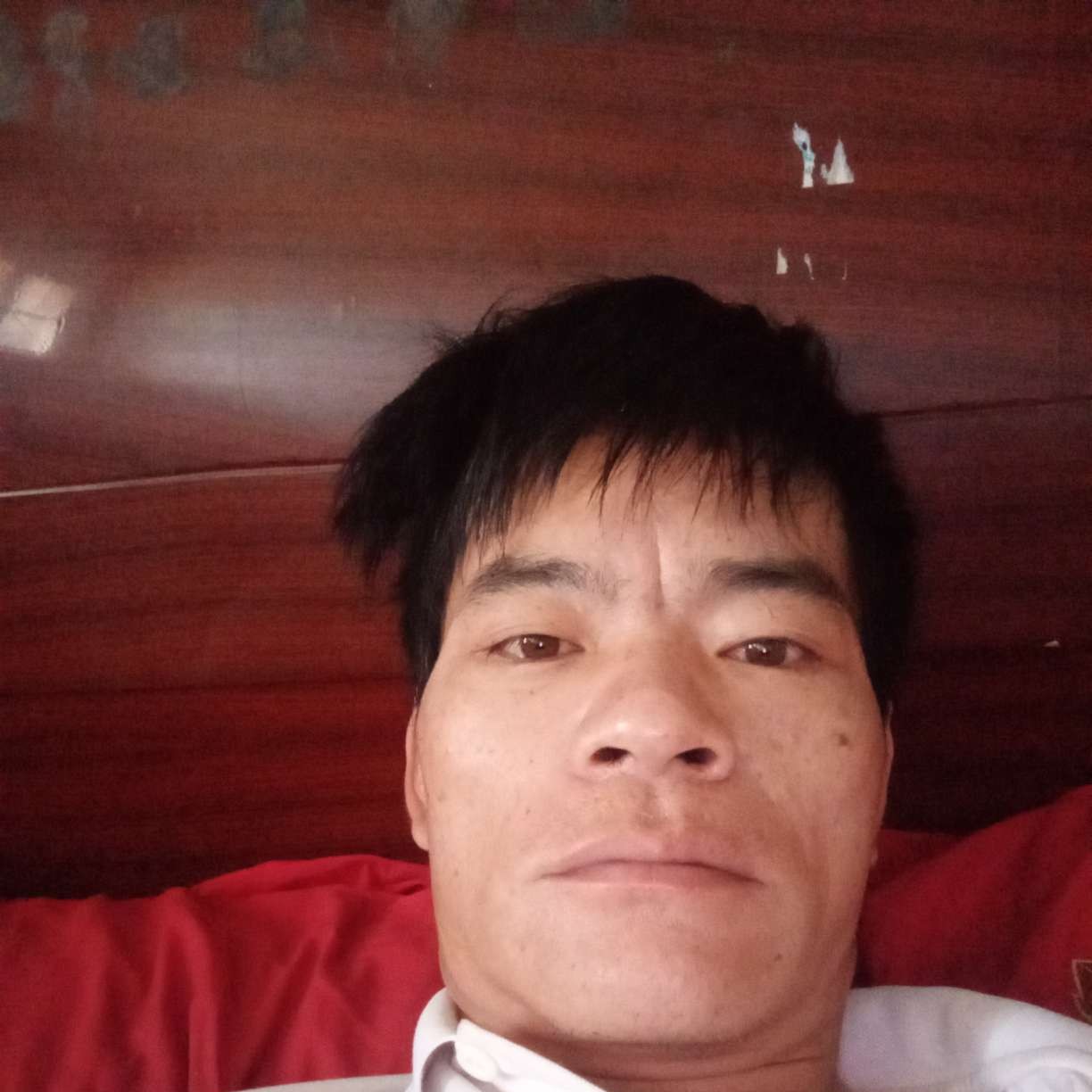醉熏多么书本的照片
