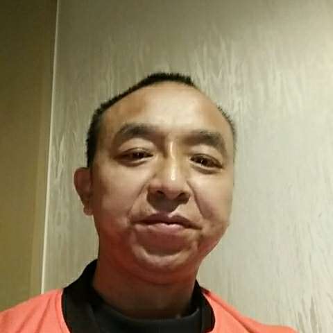 懦弱的小松鼠的照片