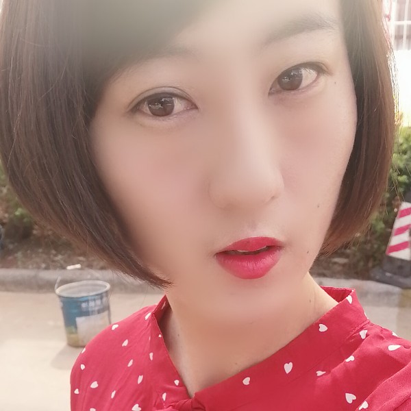 过时多么刺猬的照片