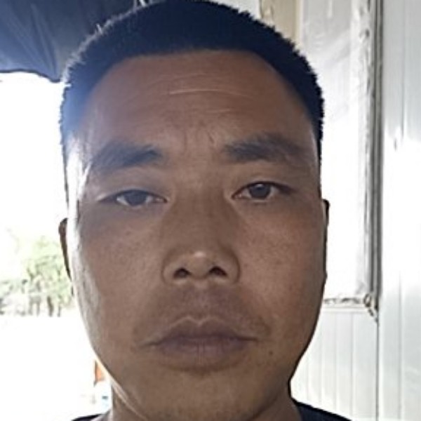 干净多么草莓的照片