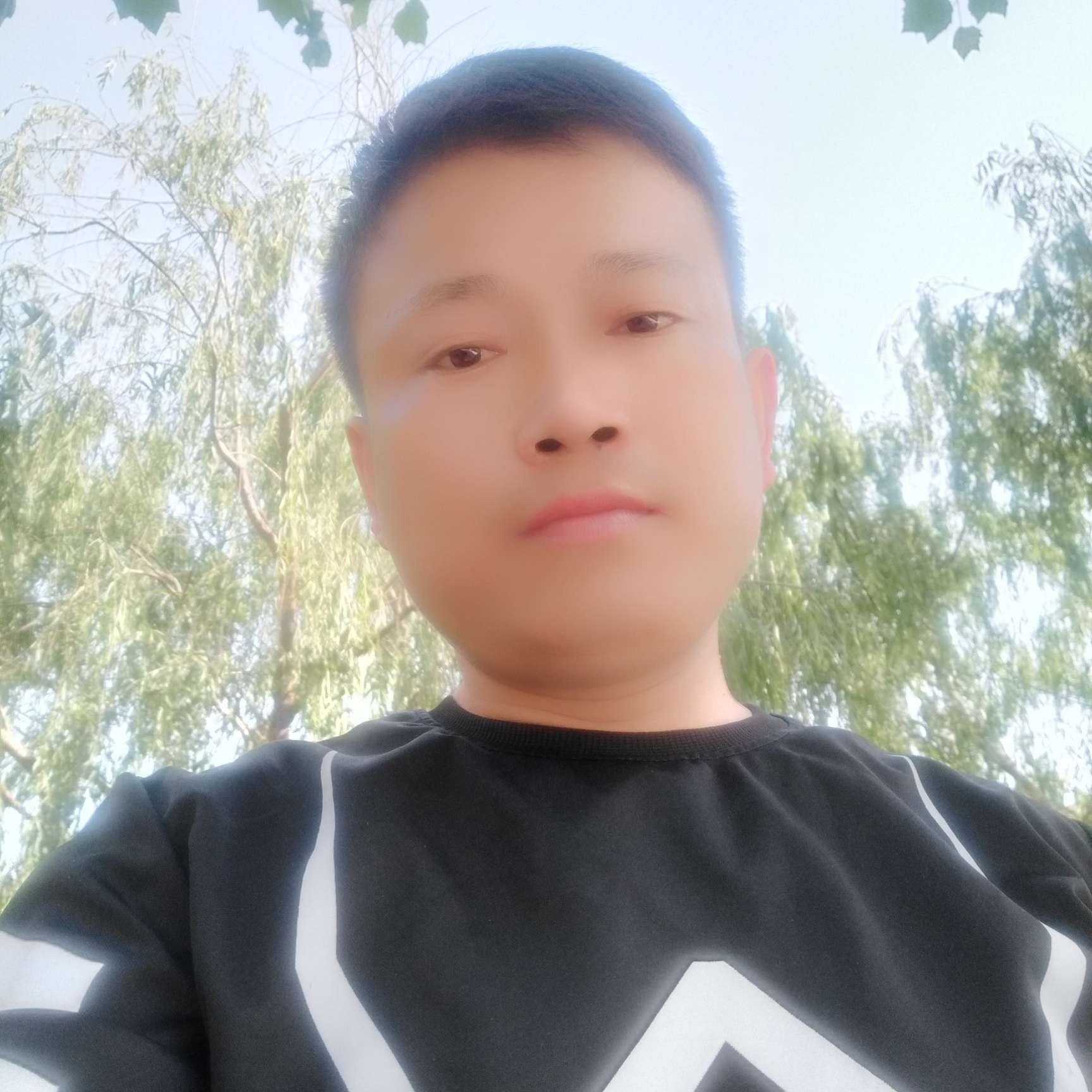零碎与惊鸿的照片
