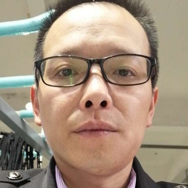 白猫翩飞的照片