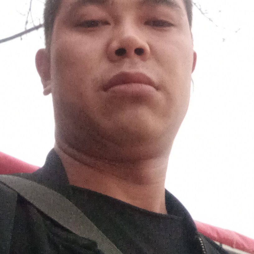 黄蜂拾忆舒服的照片