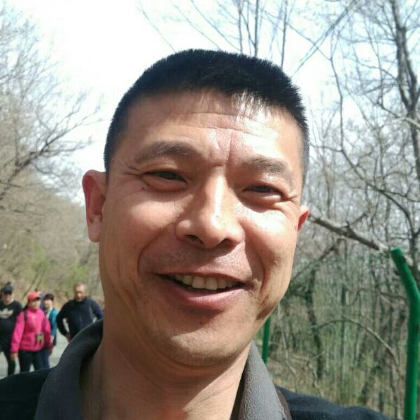 五根弦的照片