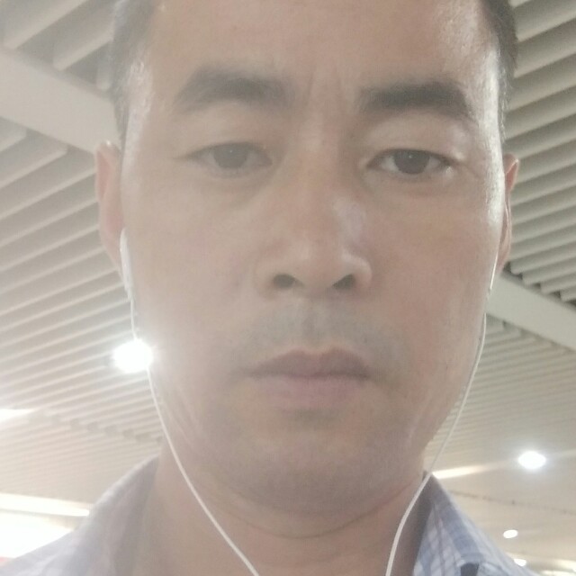 典雅鞋垫的照片