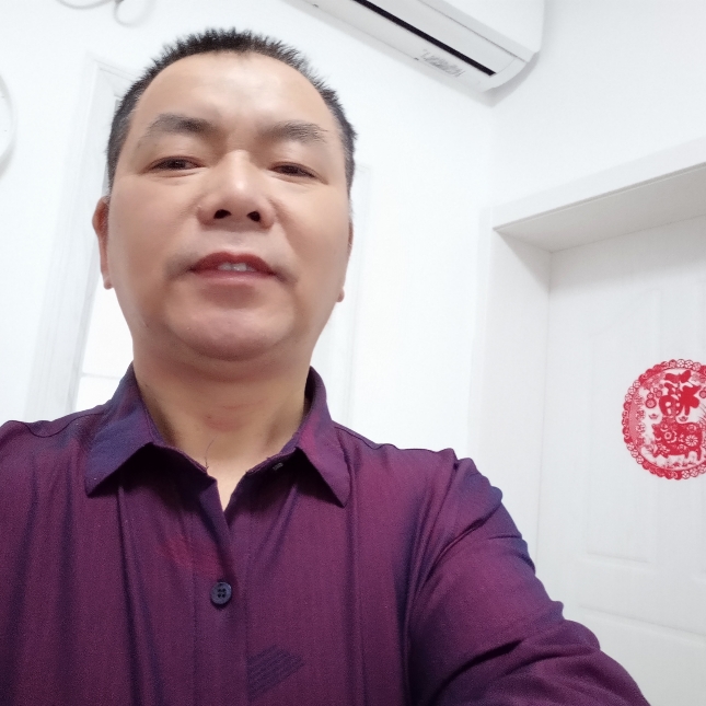 温柔停止大树的照片