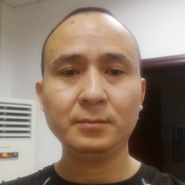 黑夜之狼的照片