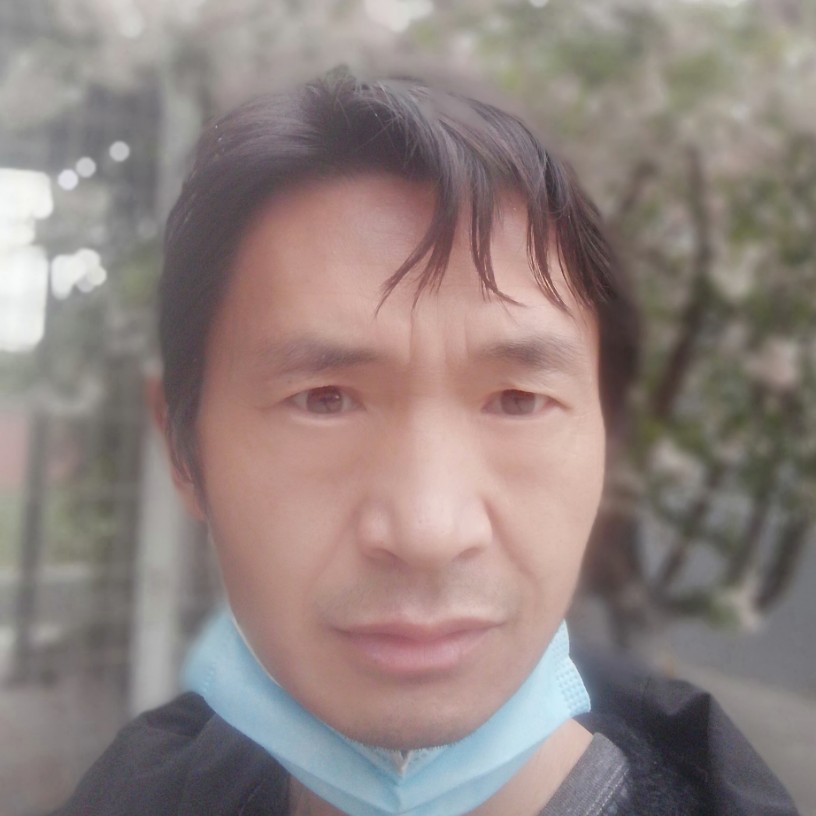 紫菜迷人的照片