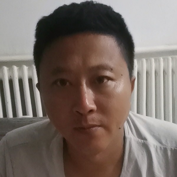 小鸽子回眸零碎的照片