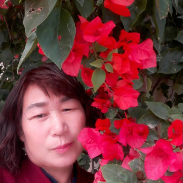 初妆請风趣的照片