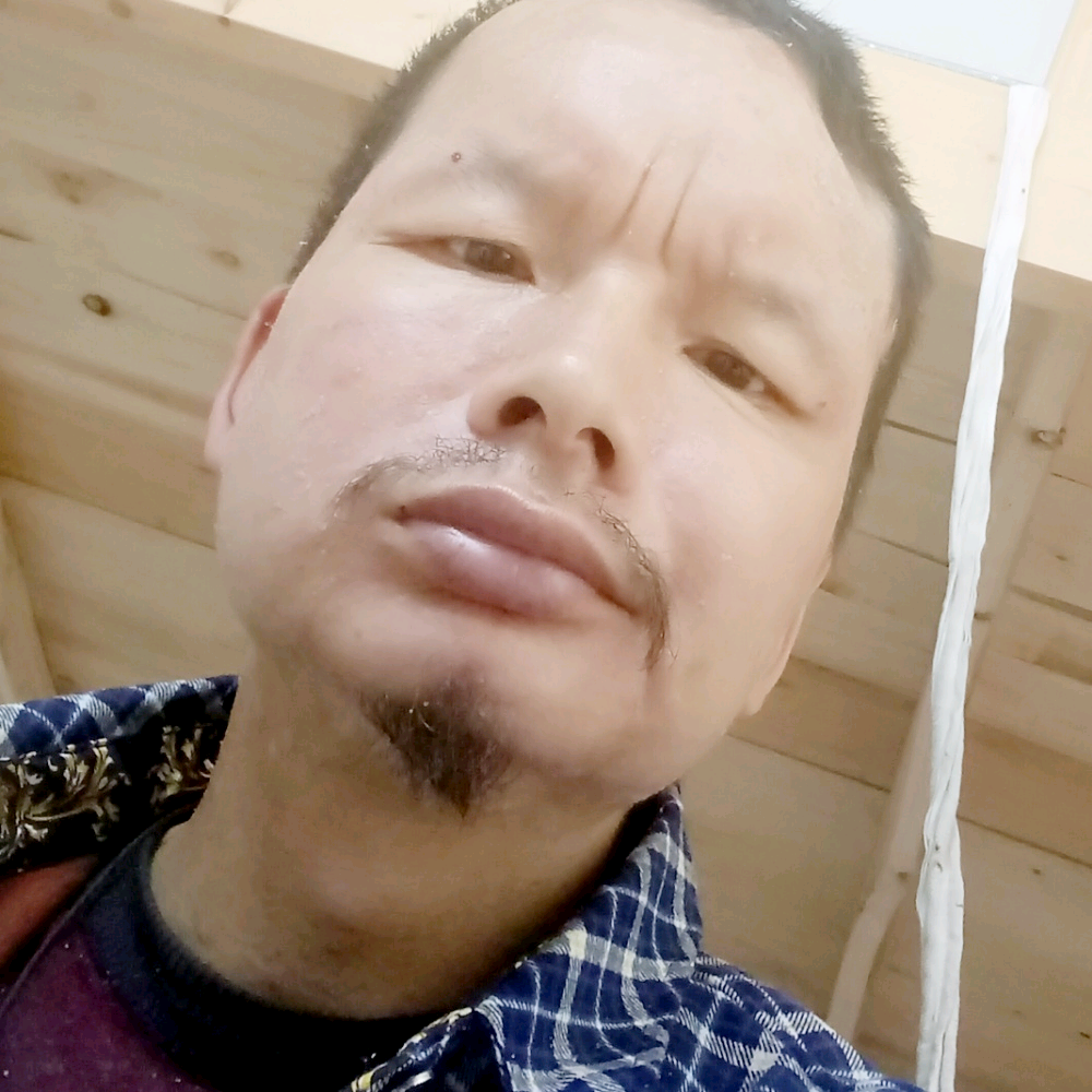 小巧相许蚂蚁的照片