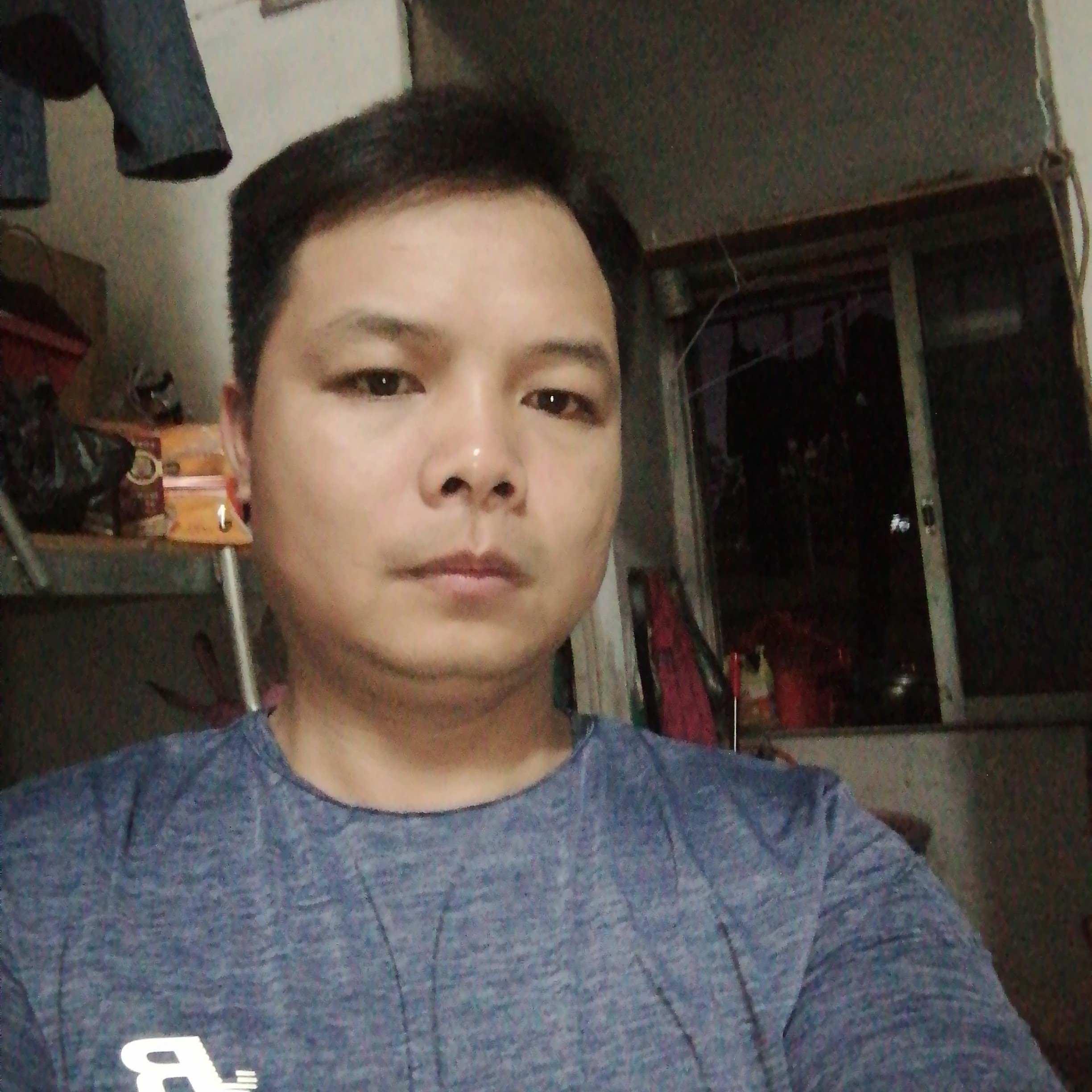 含羞草美好的照片