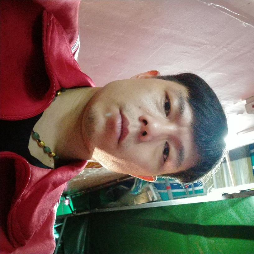 孤鴈的照片