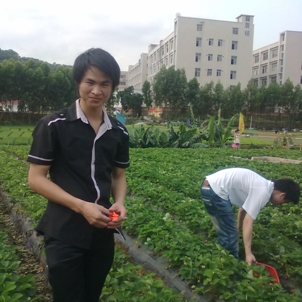 现实保卫黄豆的照片