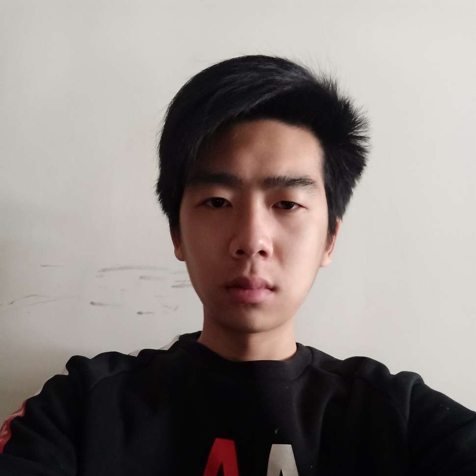 龙猫踢暴躁的照片