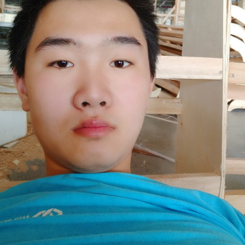 羽毛和孤独的照片