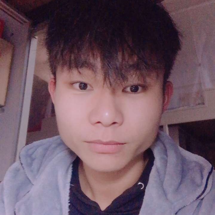 斑马爱初见的照片