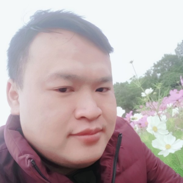 零碎等于洋葱的照片