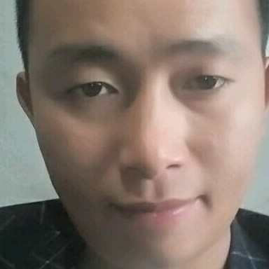 向日葵坦率的照片