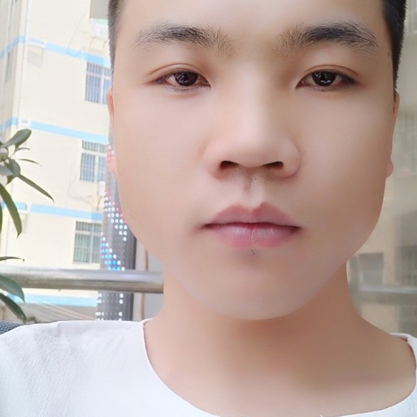 蜻蜓浅吻温婉的照片