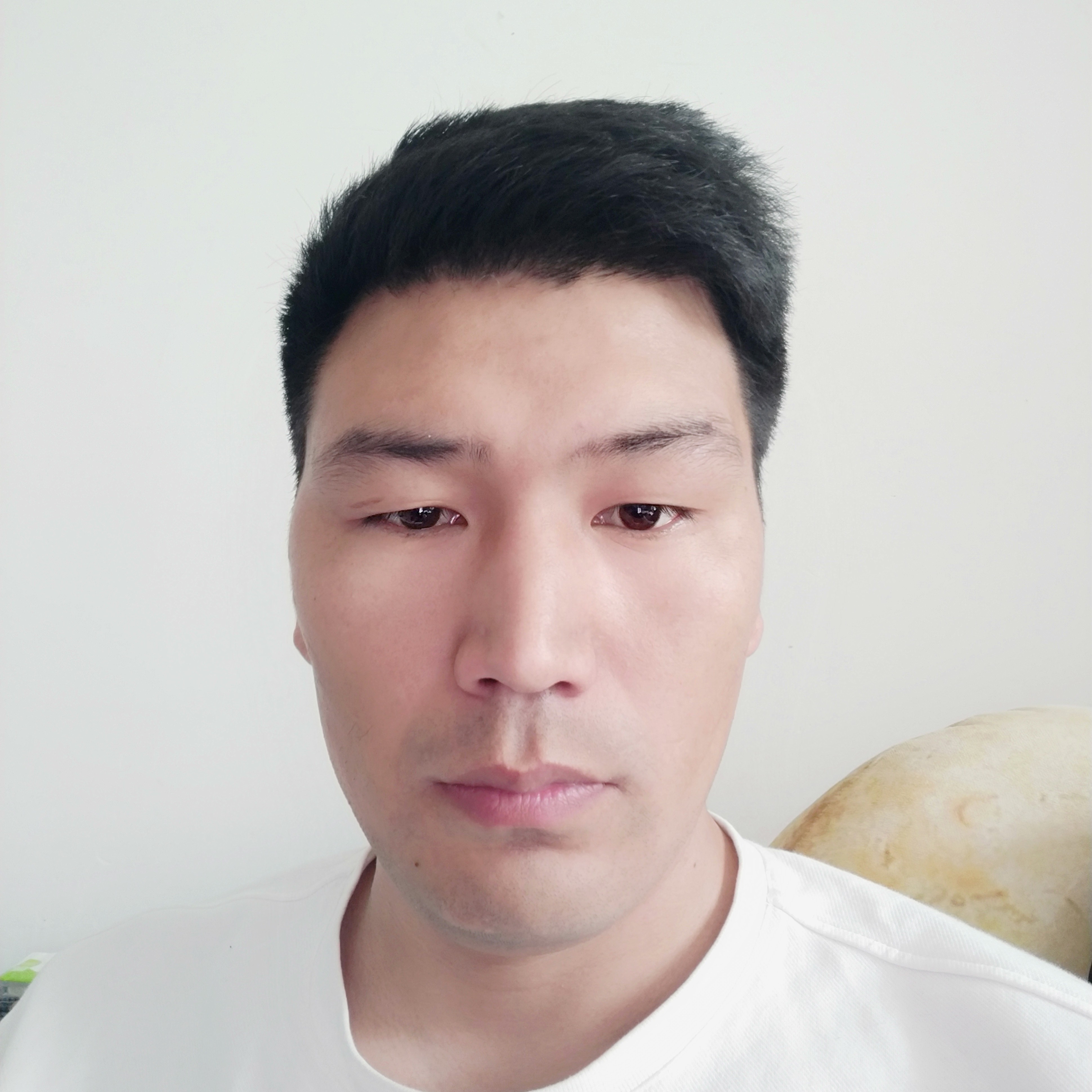 酷炫迎大象的照片
