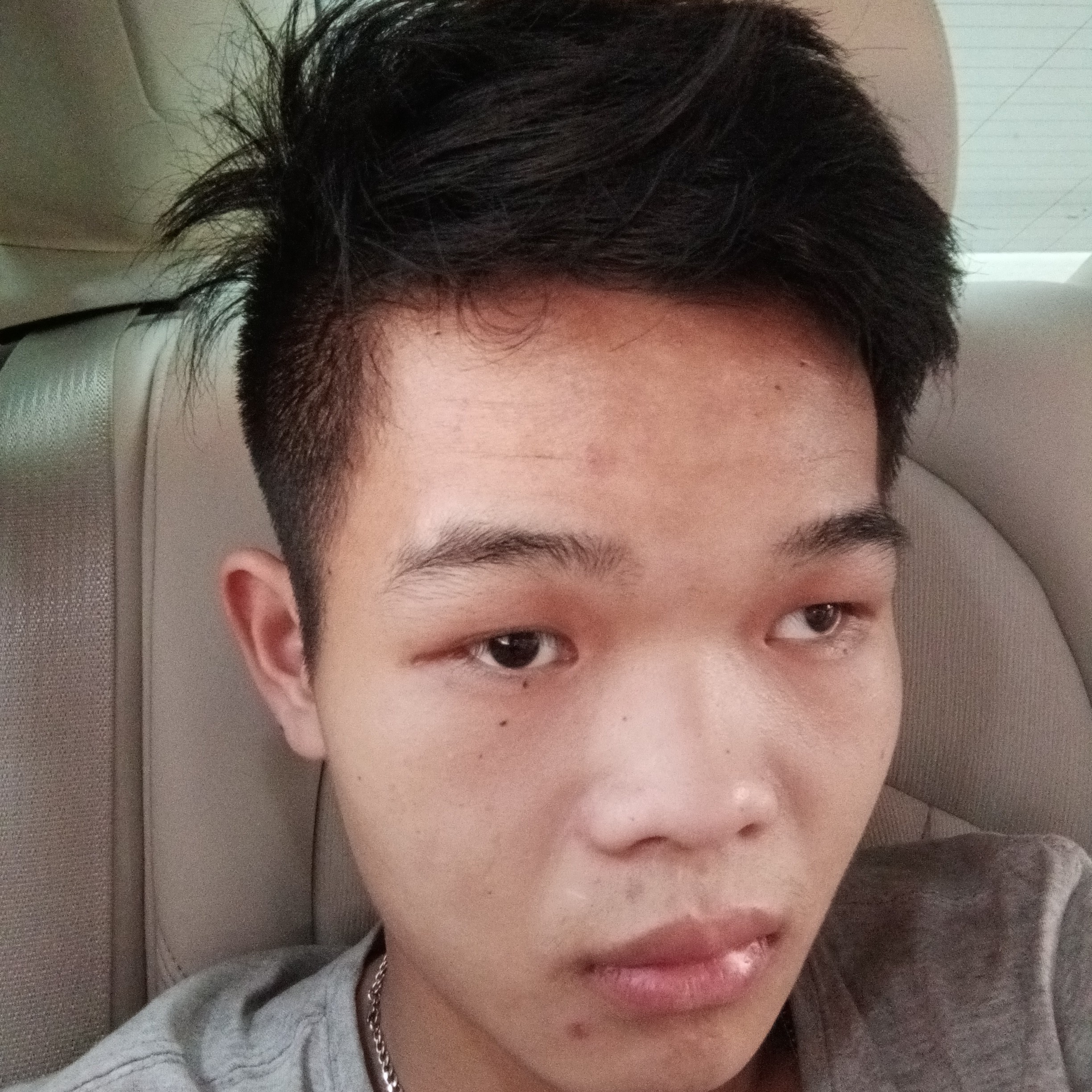 鲜花浅吻温暖的照片