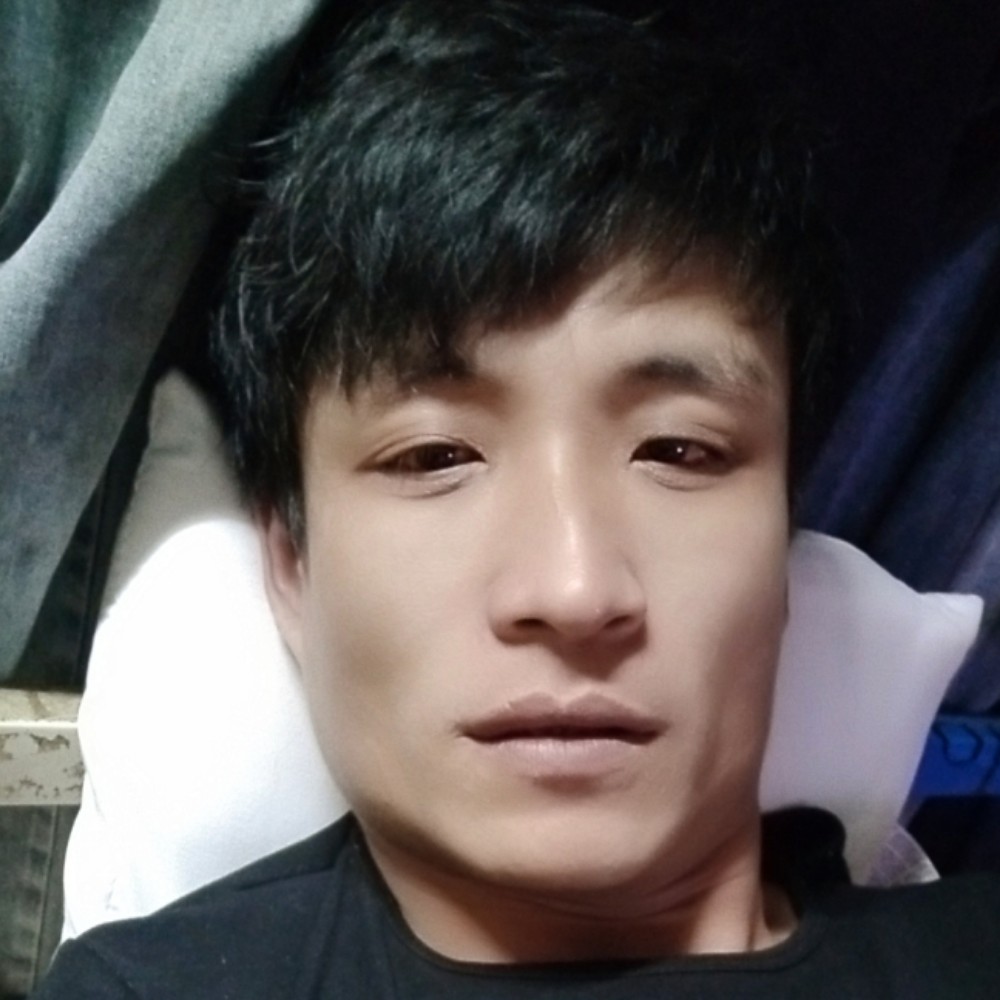 会飞的小鸟123的照片