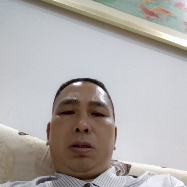 春华的壮观的照片