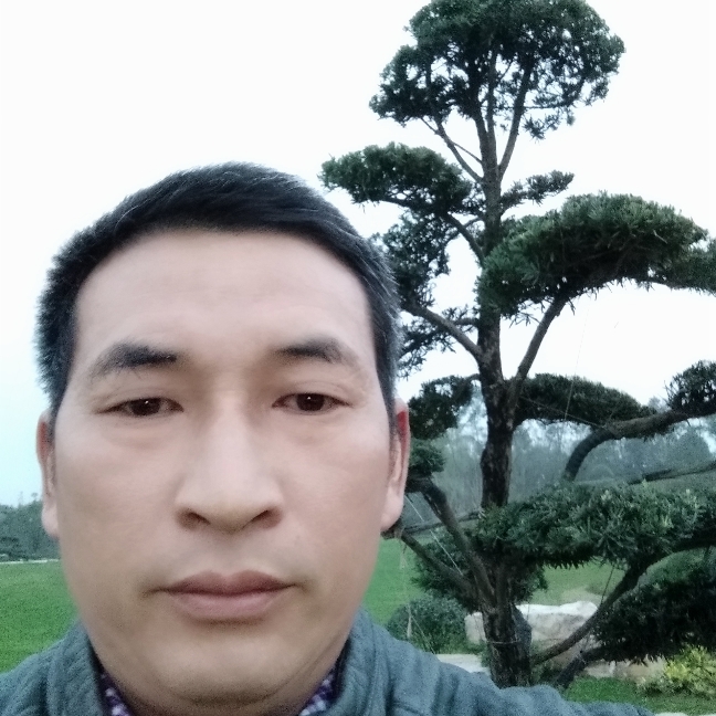 强健水蜜桃的照片