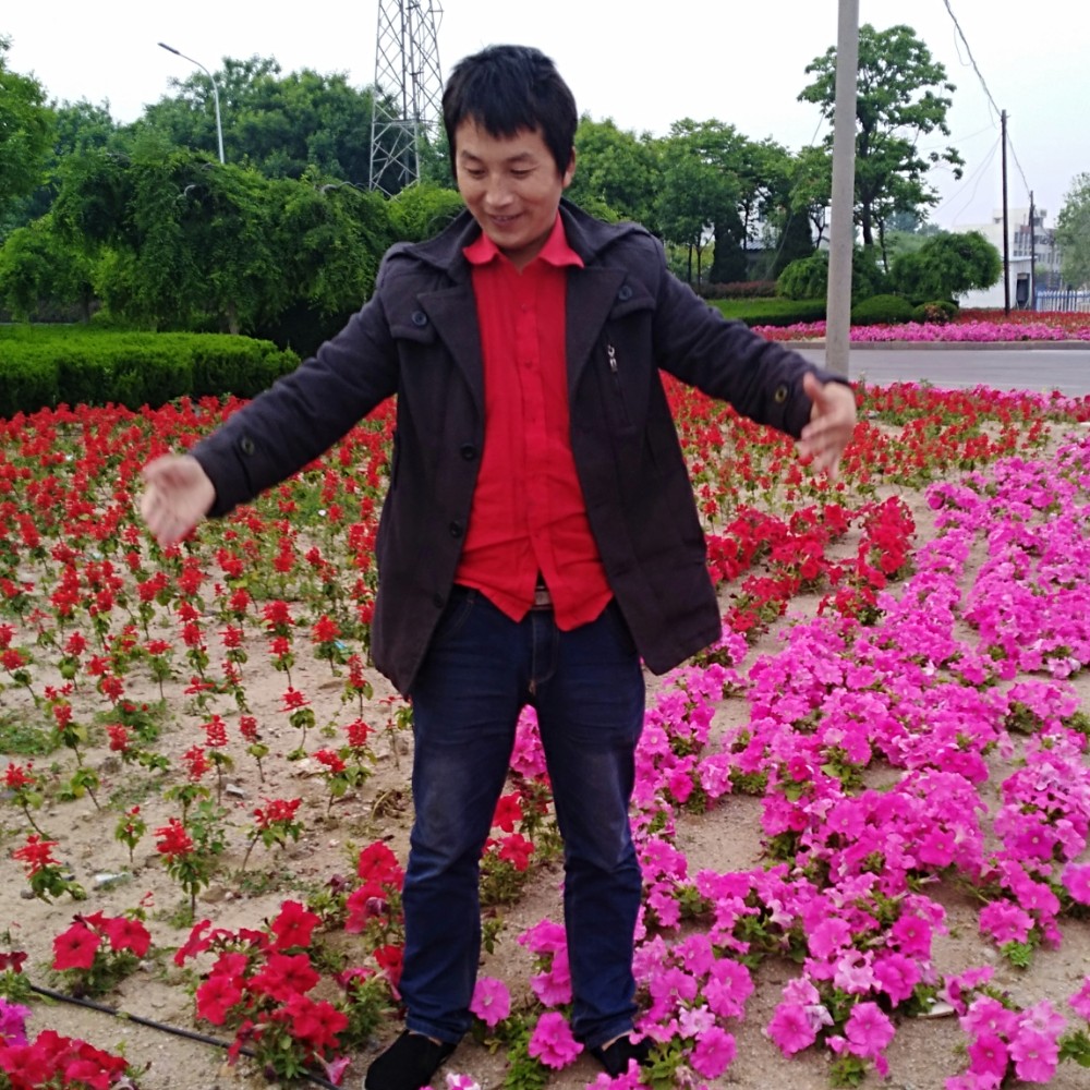 0忘了怎么哭的照片