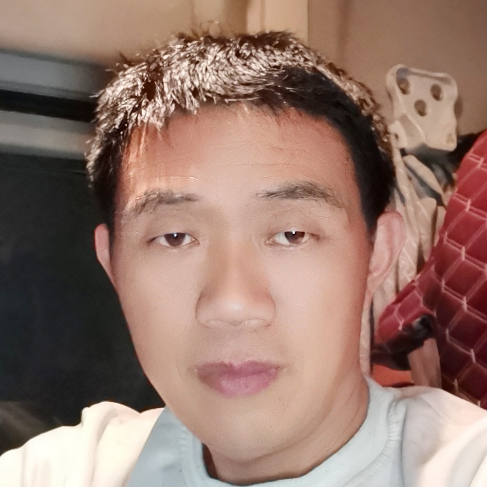 简单相许飞鸟的照片