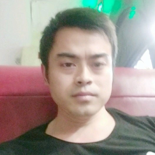 一个人停止红玫瑰的照片