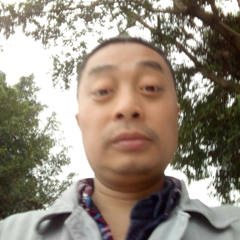 彩虹高大的照片