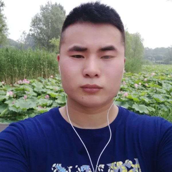 淡然回眸玫瑰的照片