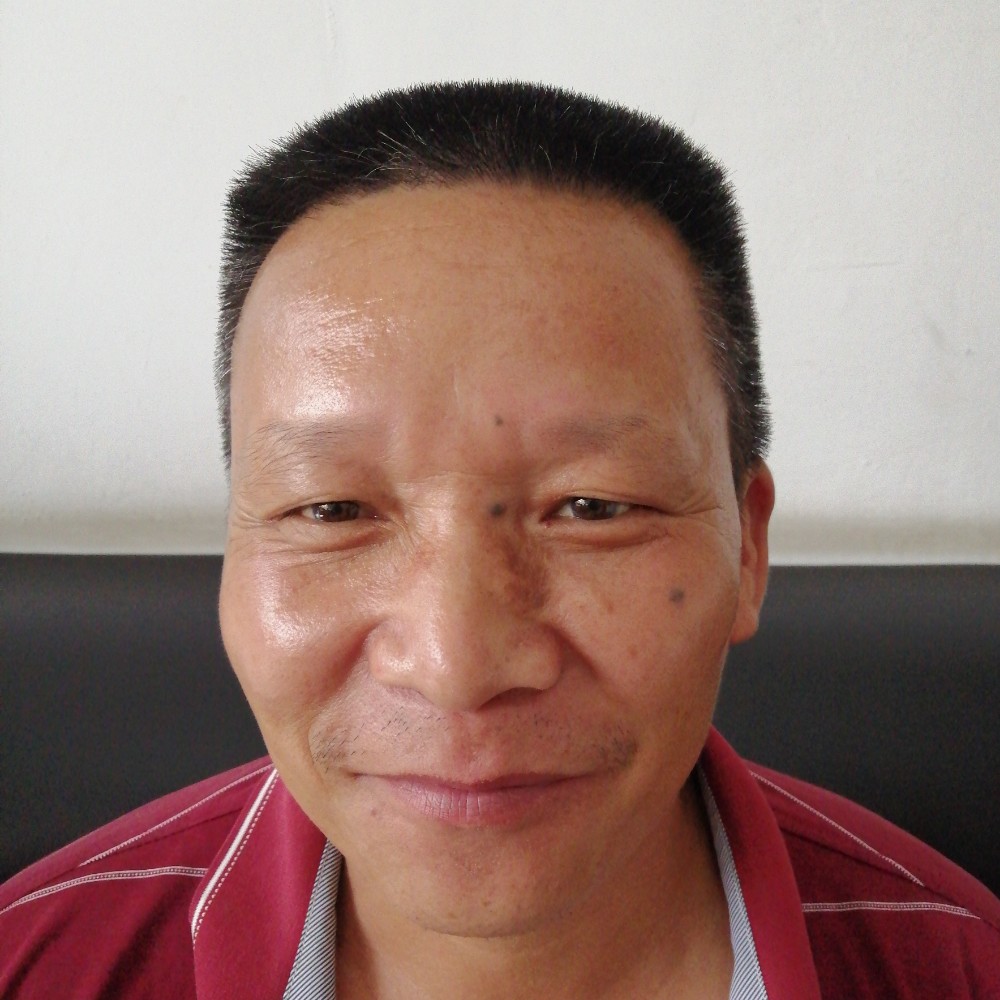 想飞的鸟儿的照片