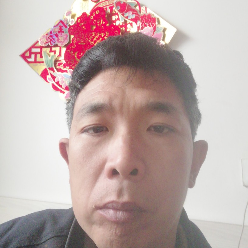 刺猬打谁的照片