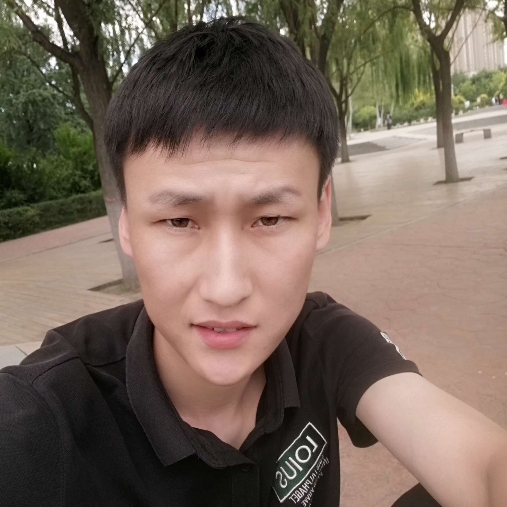 自由de石子路的照片