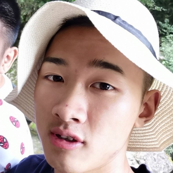 偷腥的猫咪的照片