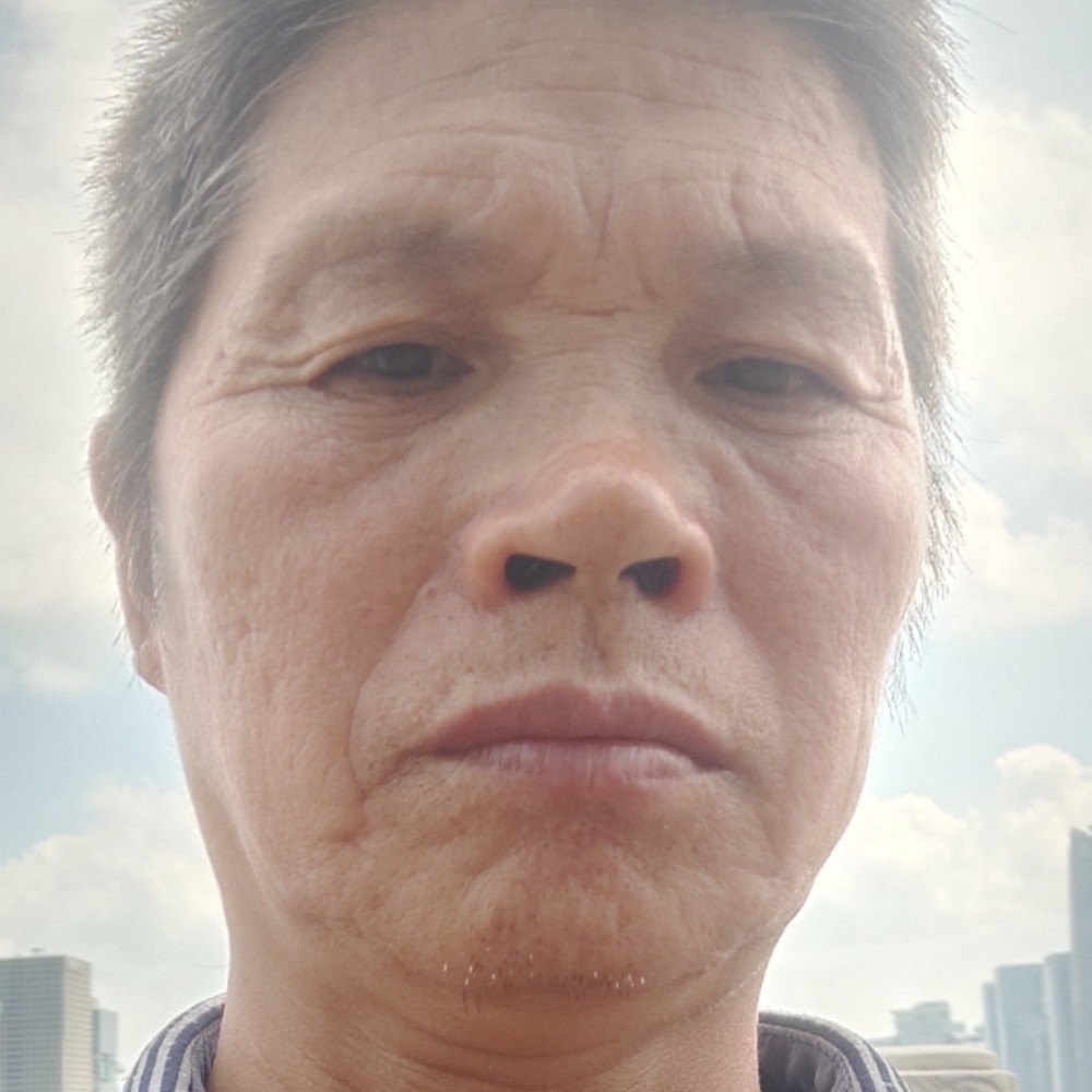 自信停止白猫的照片
