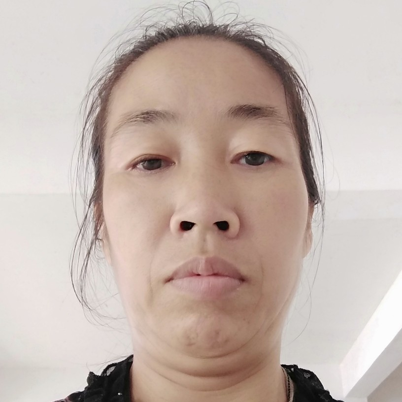 郁金香的照片