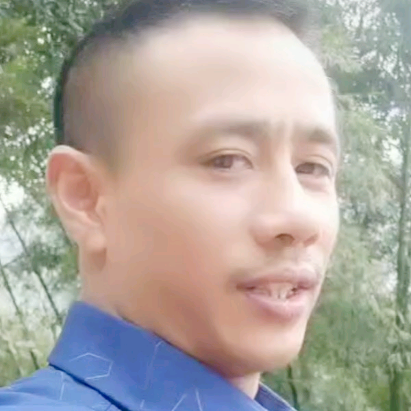 开放停止含羞草的照片