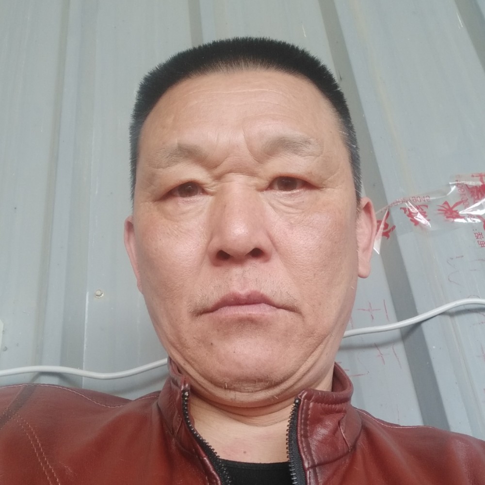 奔放的马的照片