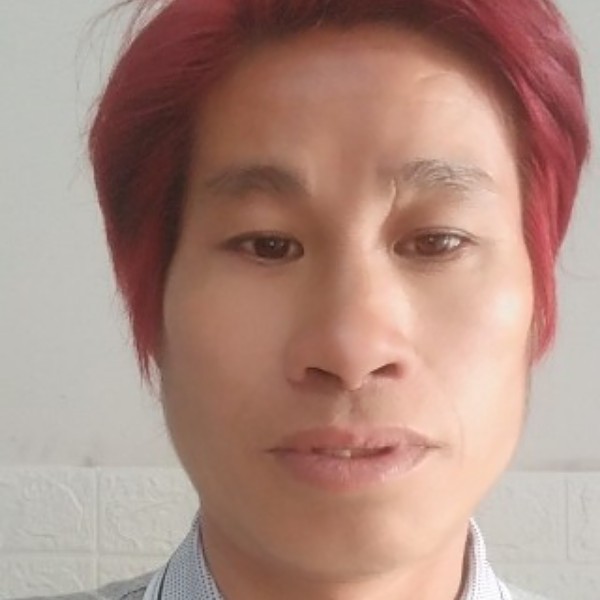 动人小鸭子没见过的照片