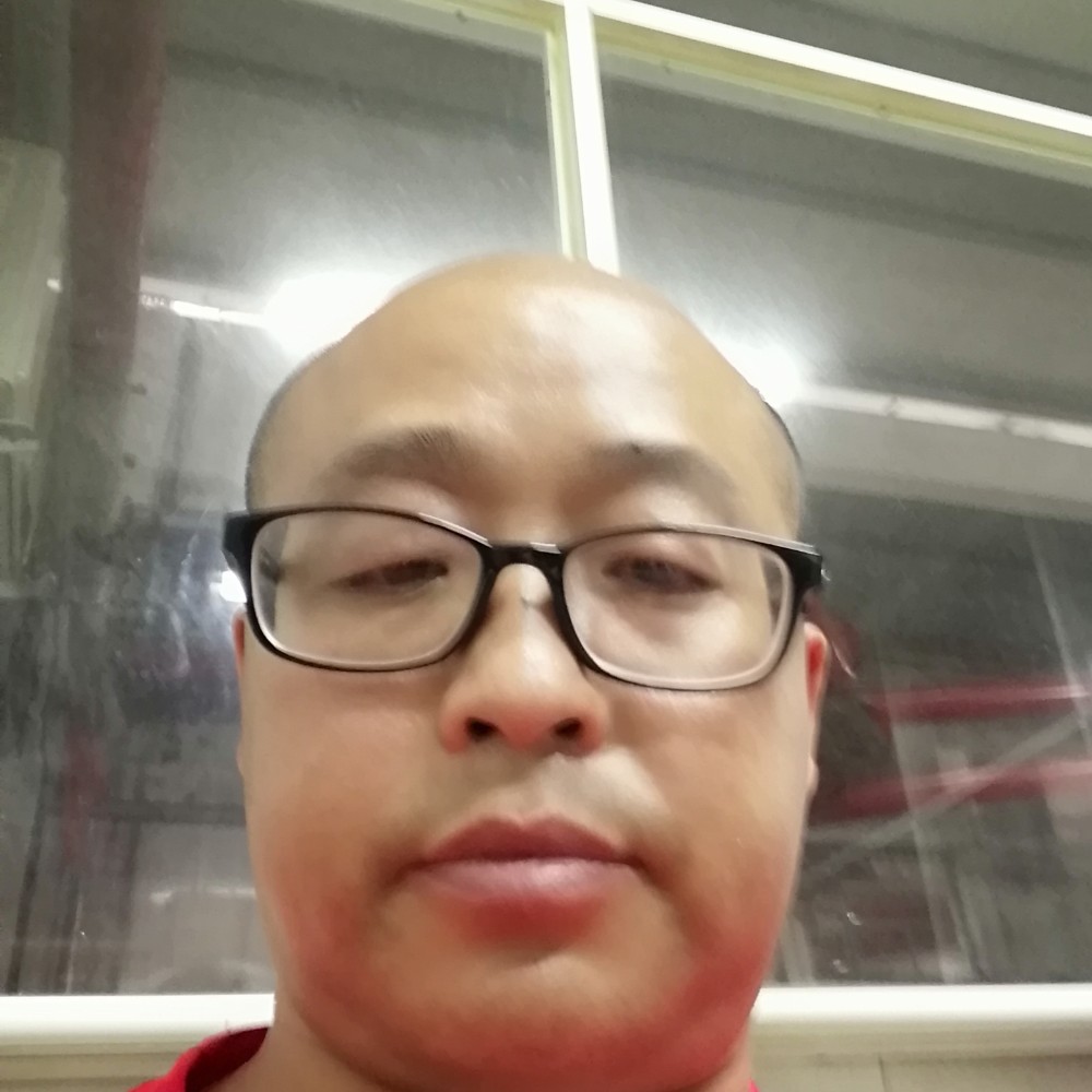 大雁独寂的照片