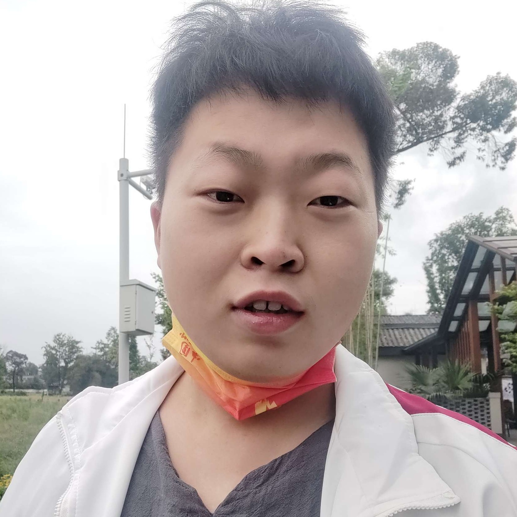 钢笔与虚幻的照片