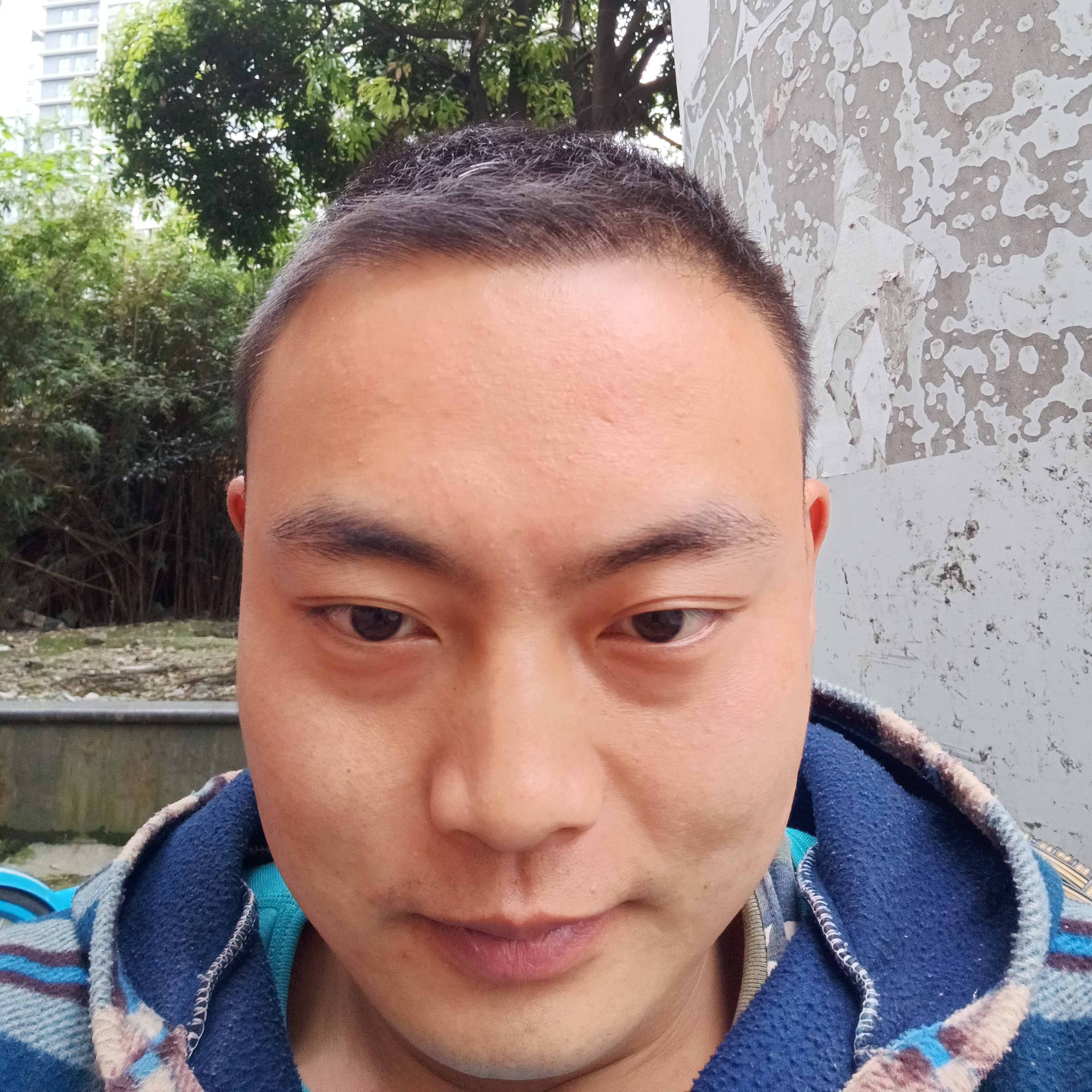 北风吹向大海的照片