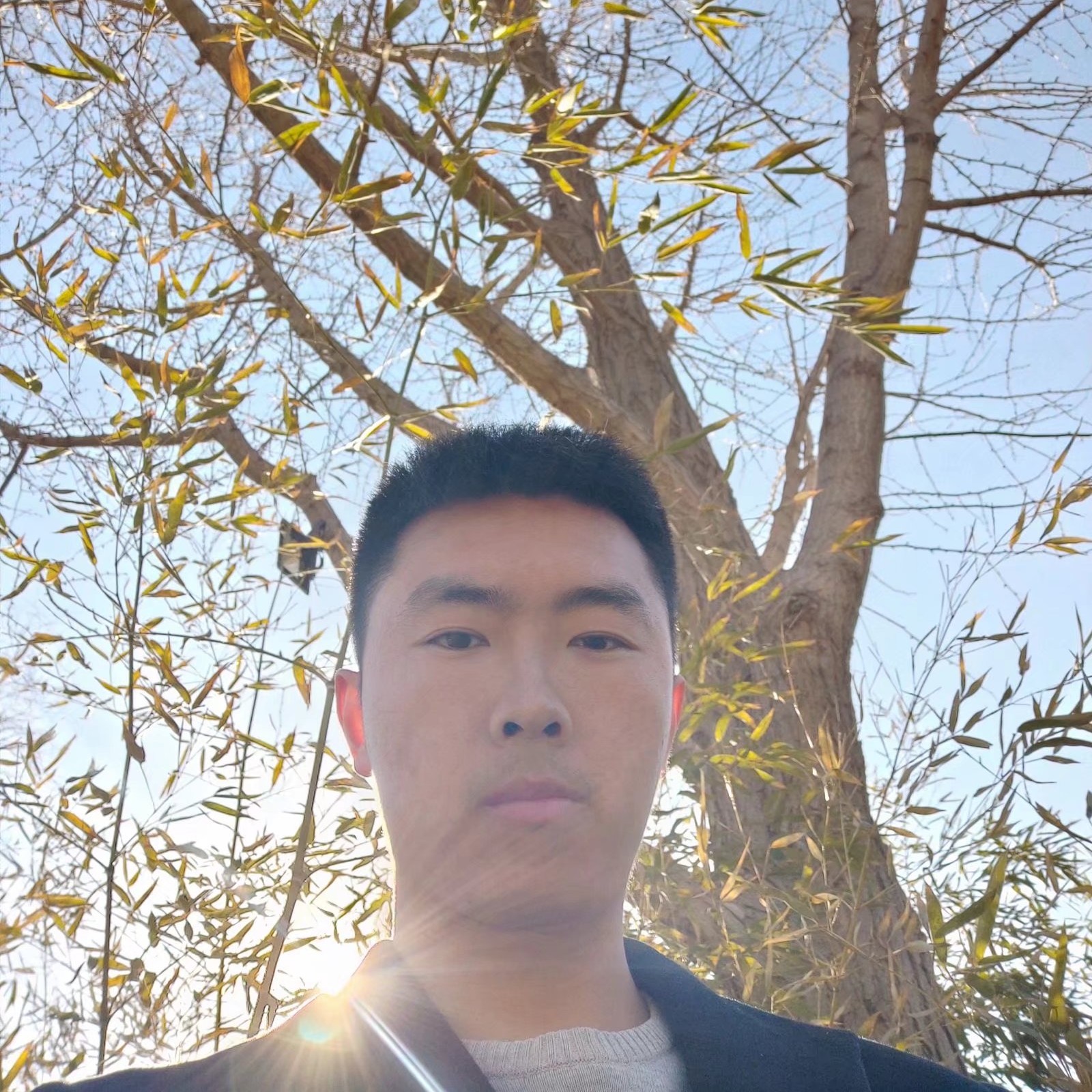 萌芽123的照片