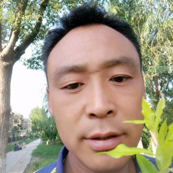 背后迎金鱼的照片