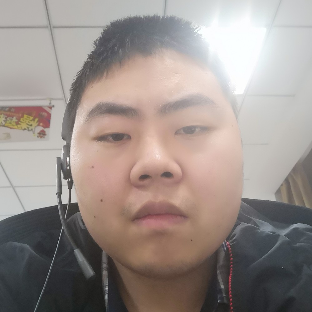 不偷米的老鼠的照片