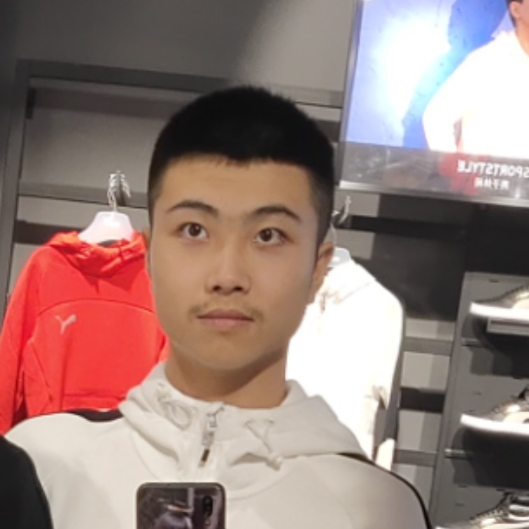 诚心漫步向日葵的照片